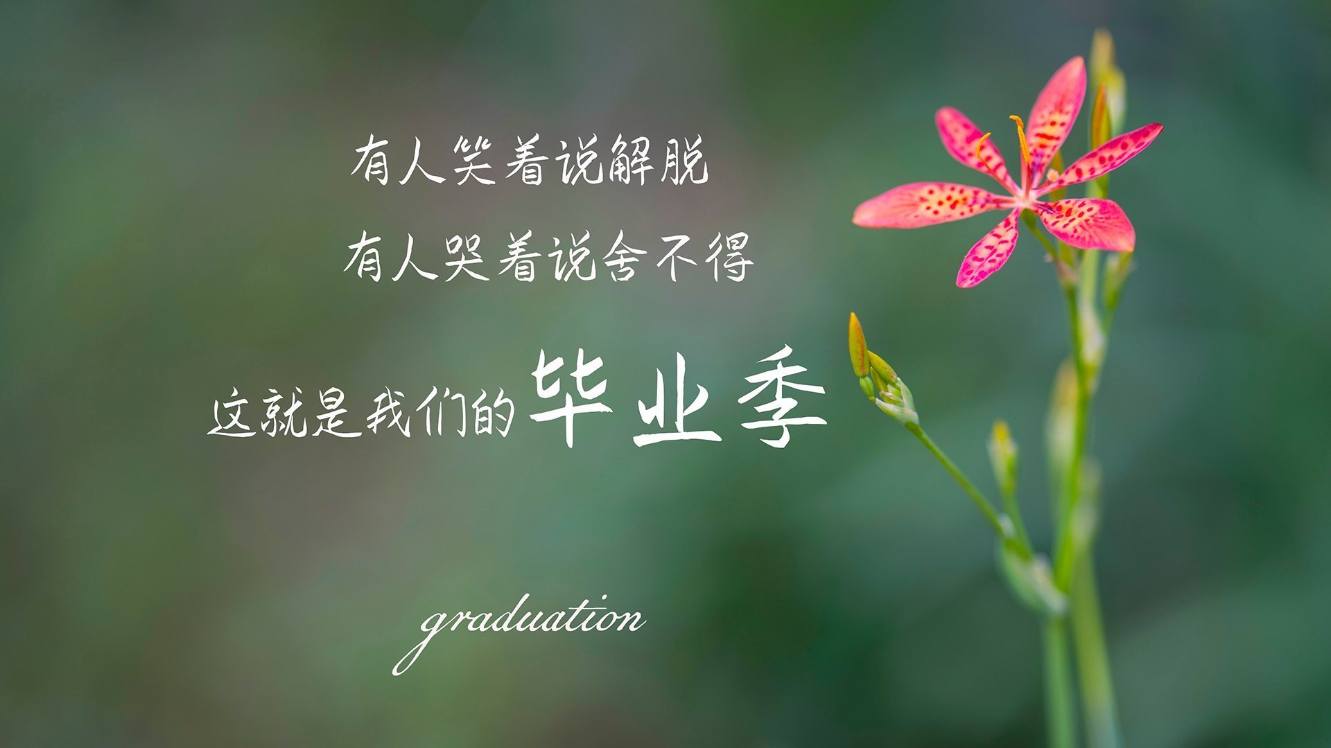 九游网页版入口-本菲卡赢得葡萄牙杯，终结多年无冠历史，本菲卡拿过欧冠吗