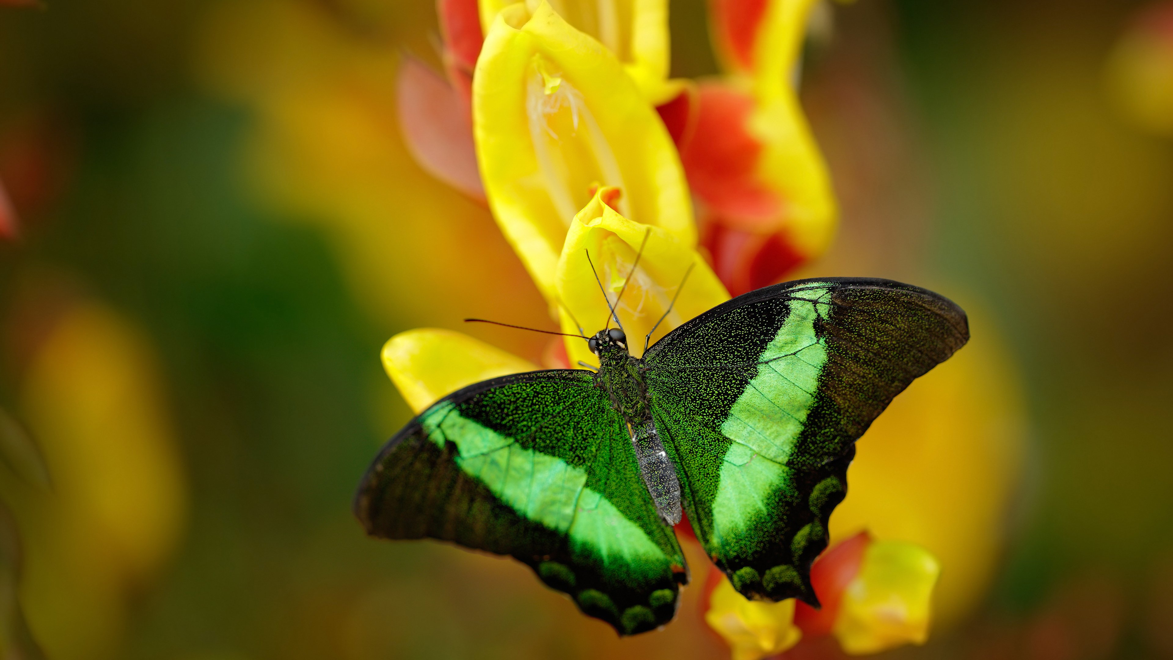 九游app下载中心-电竞行业的未来发展：可持续与健康，电竞发展前景