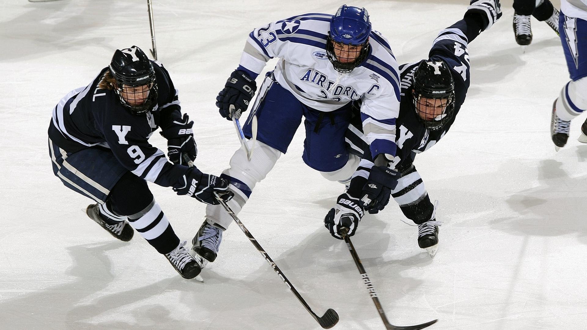 美国马术协会建立马匹基因数据库,促进马匹选育与训练。,美国马术比赛