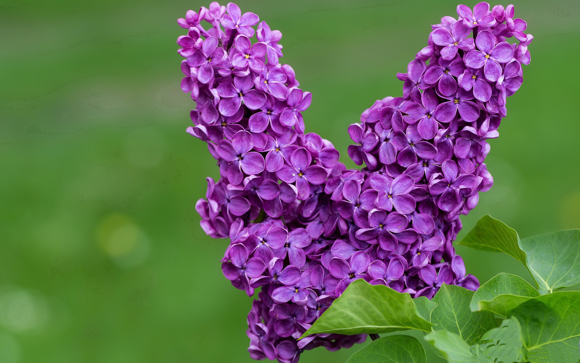 Faker参与国际电竞规则制定会议，faker参加了几届全球总决赛