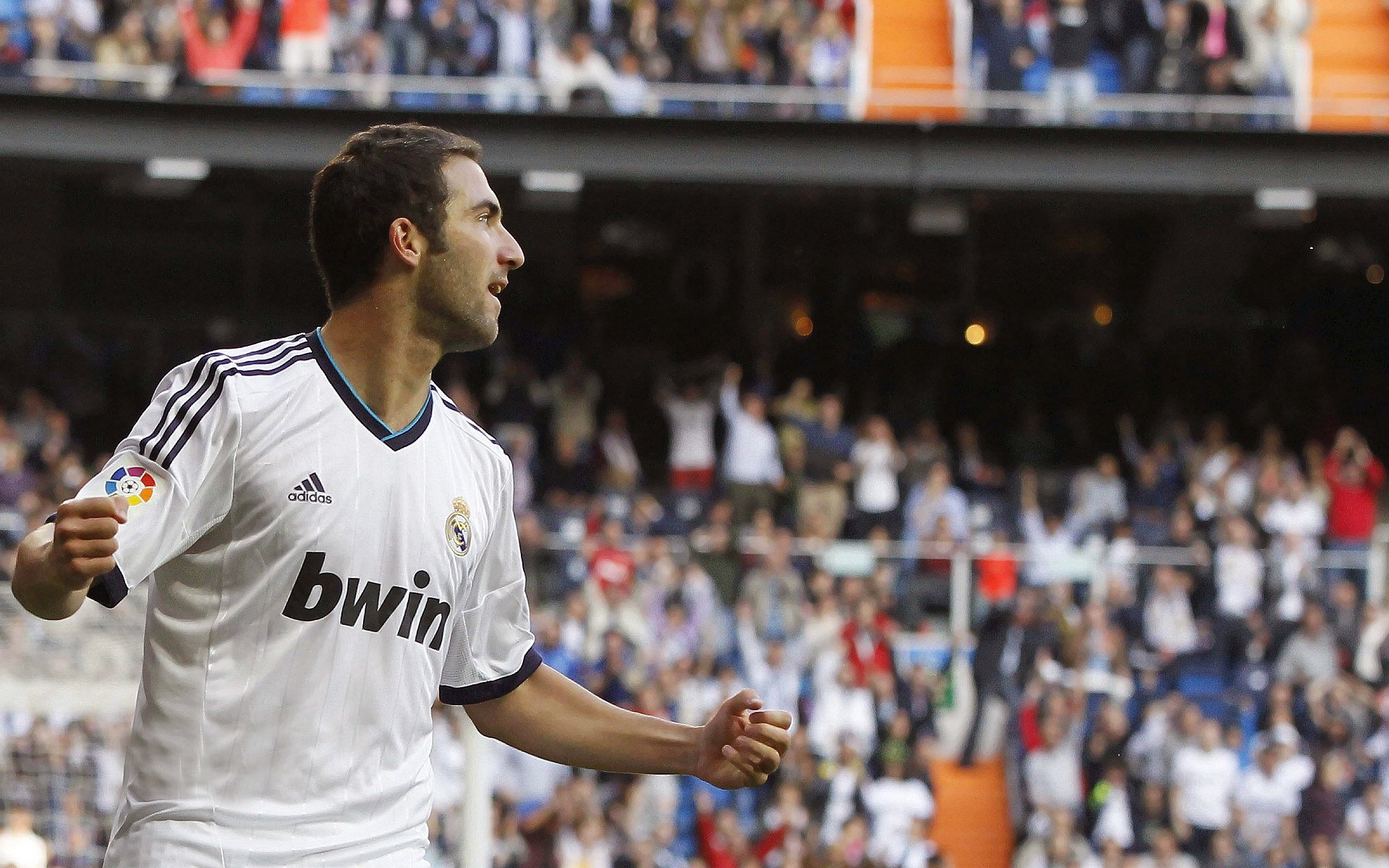 -体育节目精彩纷呈，解读足球赛场风云，播放足球节目