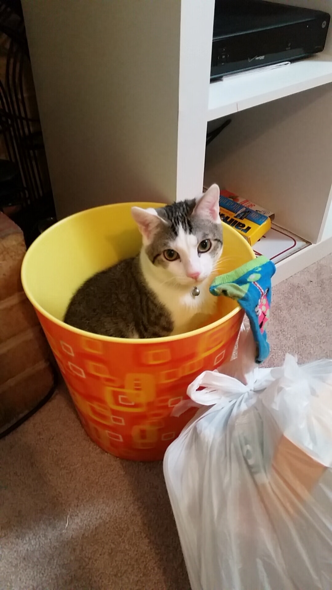 九游app下载中心-哈尔滨男篮在关键时刻稳定军心，夺得胜利，哈尔滨的篮球运动员