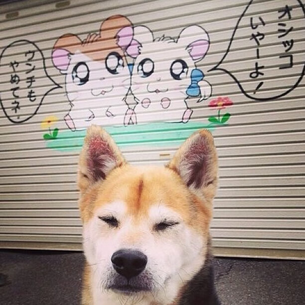 九游娱乐官网 (JIUYOU)-国米锋线组合效率提升，国米出神锋