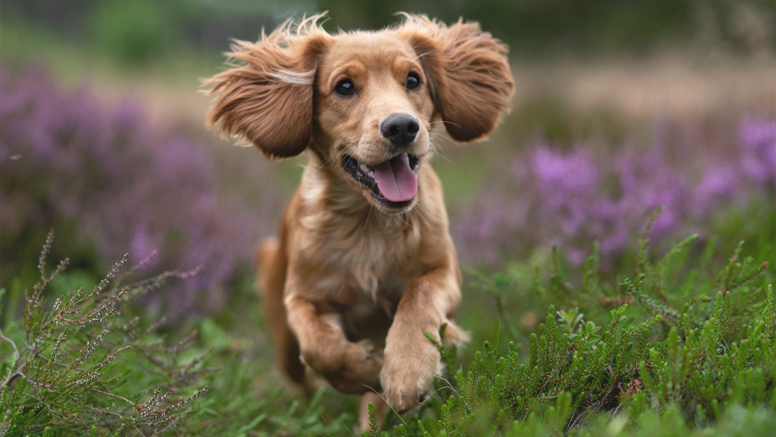 摩洛哥女足首次参加世界杯，表现抢眼，摩洛哥女足首次参加世界杯,表现抢眼吗