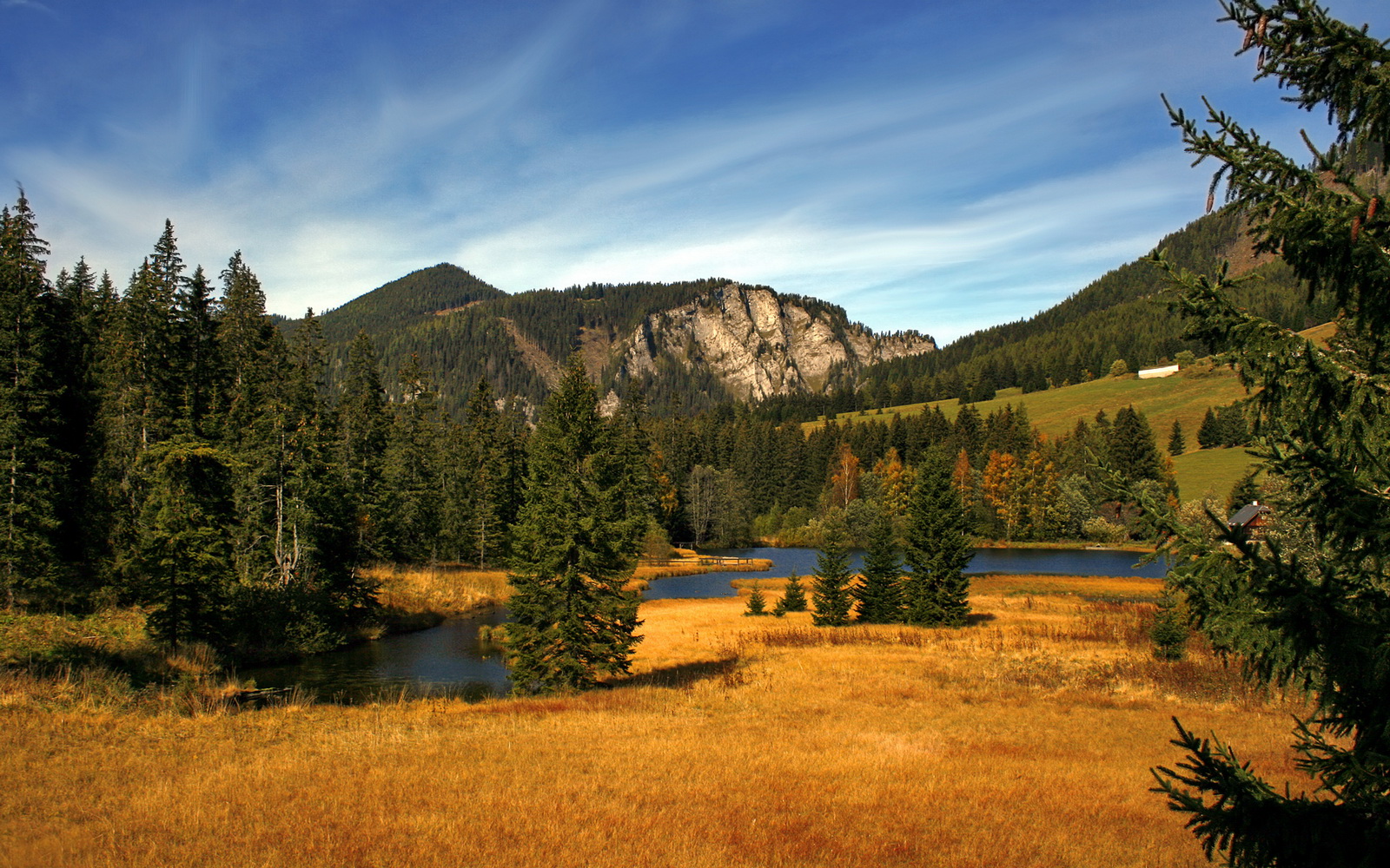 九游官网pc-森林狼球队攻防转换流畅，森林狼球队怎么样