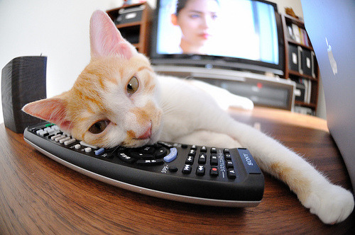 九游官网pc-瑞士连胜两场，晋级前景一片美好，瑞士球队战绩