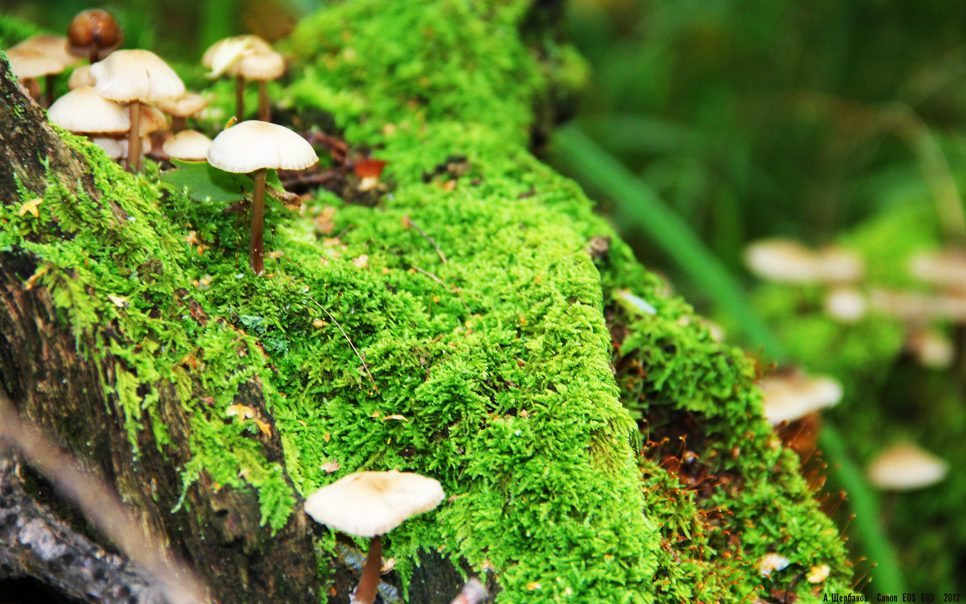 九游娱乐APP-穷追不舍！球队争取每分每秒赢得胜利，争分夺秒足球用语