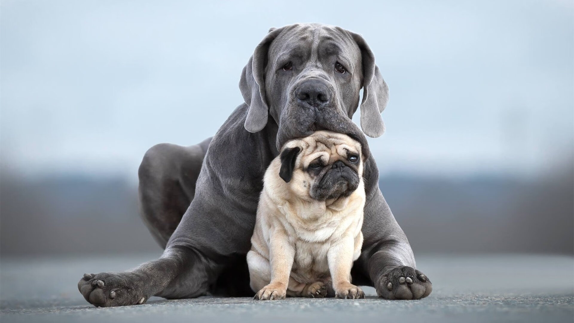 九游-联盟是否应记录球员城市贡献档案，联盟球员排行