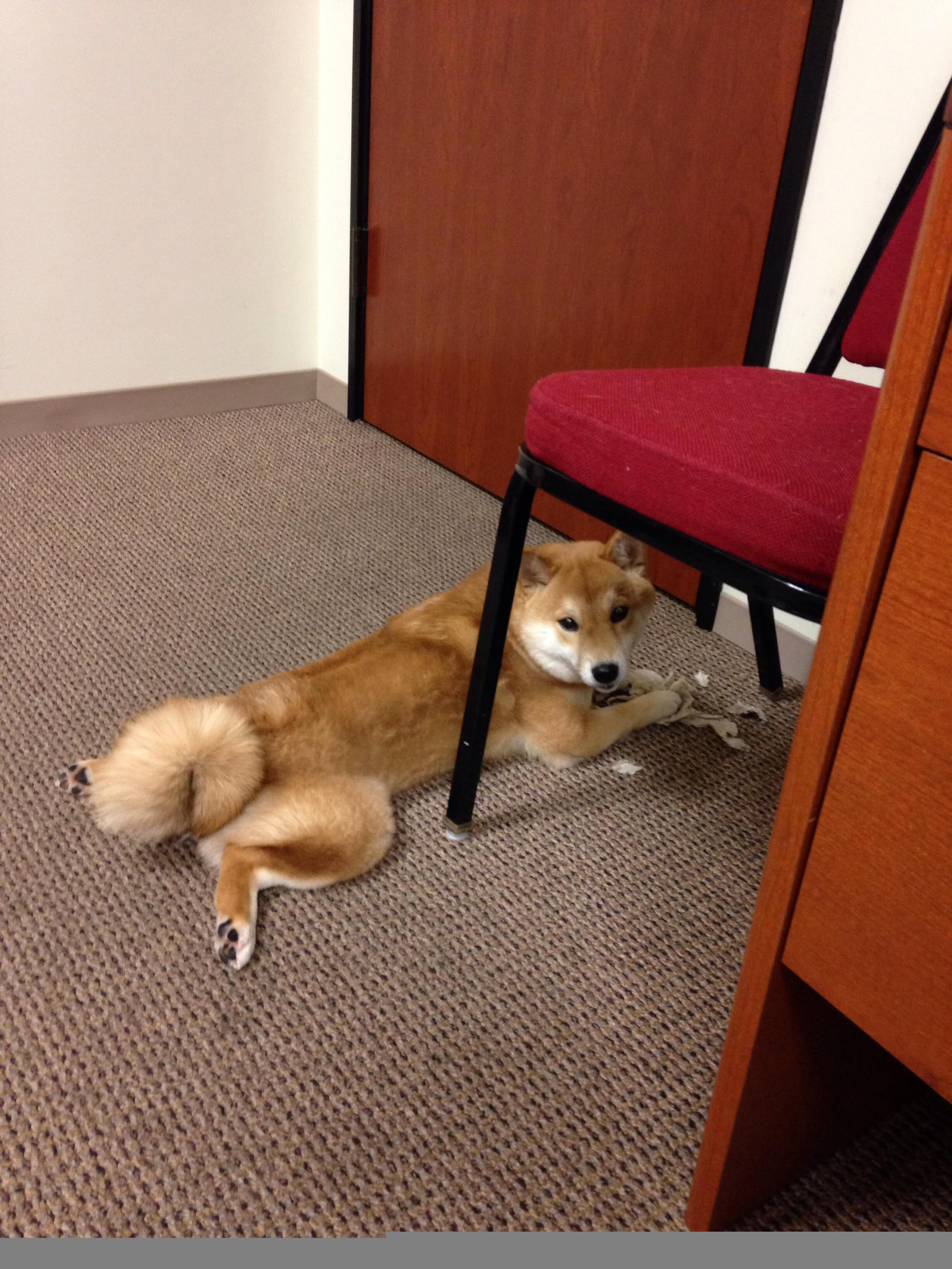 国足年度主要战术应用成功率回顾,国足的战绩