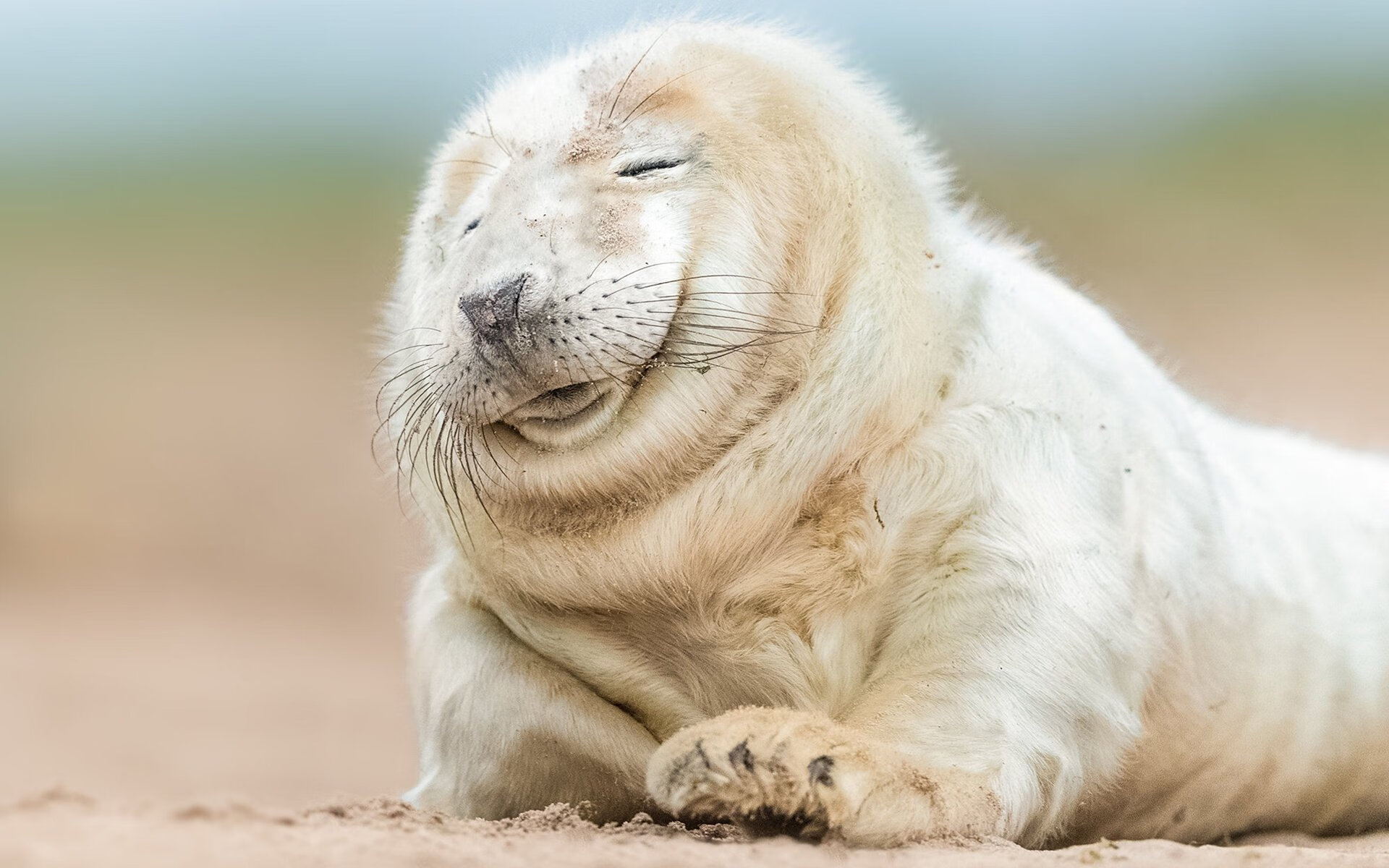 九游网页版官网入口-替补席火力全开谁是板凳奇兵，板凳球员和替补球员