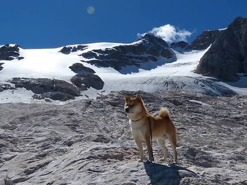 九游(jiuyou)官方网站-中超外援平均年龄下降球队更重视潜力和适应性，中超外援年薪