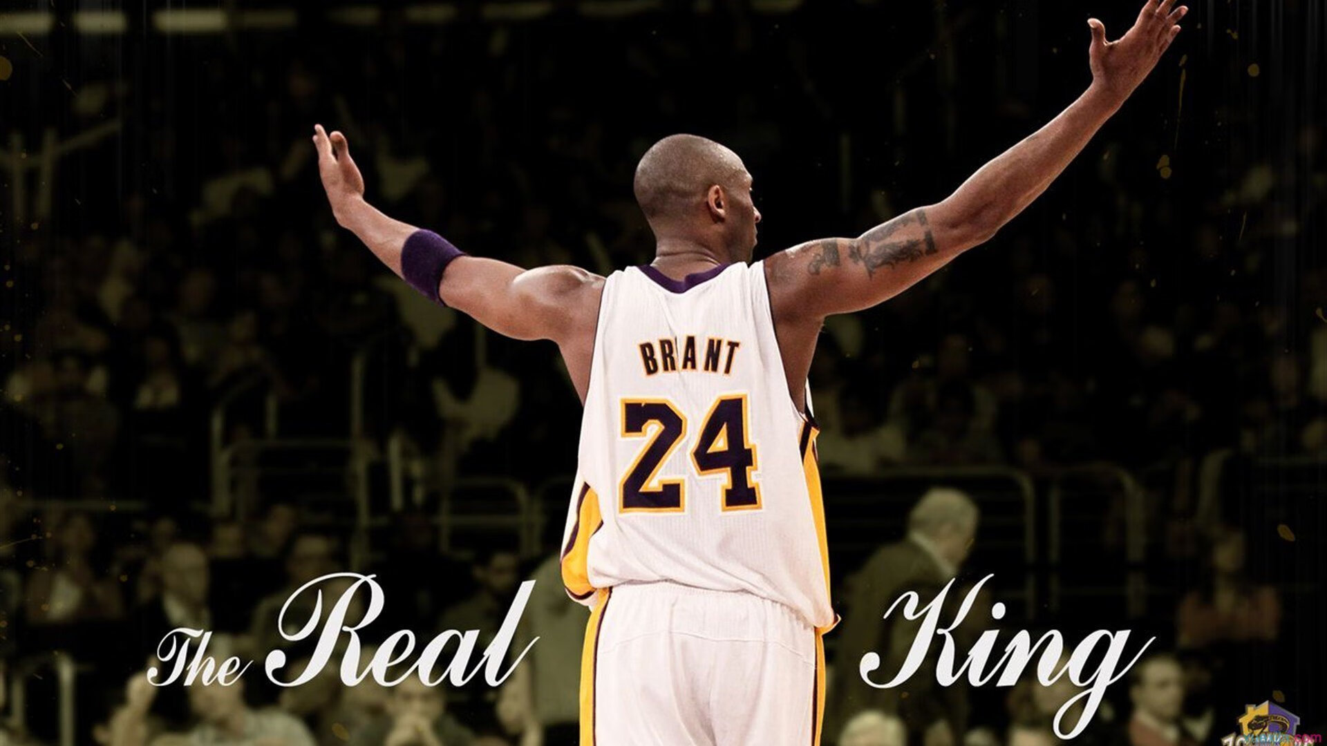 九游游戏-青少年篮球创新营销活动“球场新风尚”炫彩开启，青少年篮球培训广告